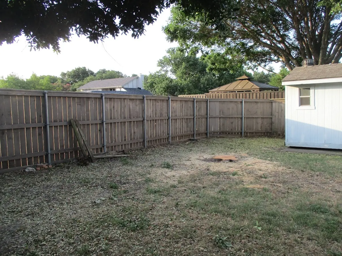 Cleared yard after professional tree removal in Mc Callsburg