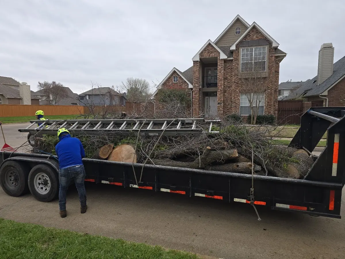 Expert Tree Fertilization with proper safety equipment in Mc Callsburg